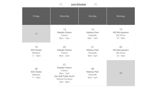 M.CHA SCHEDULE
