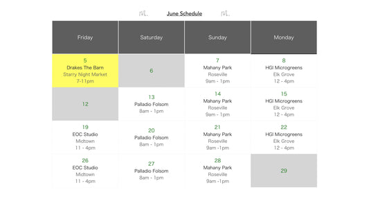 M.CHA SCHEDULE