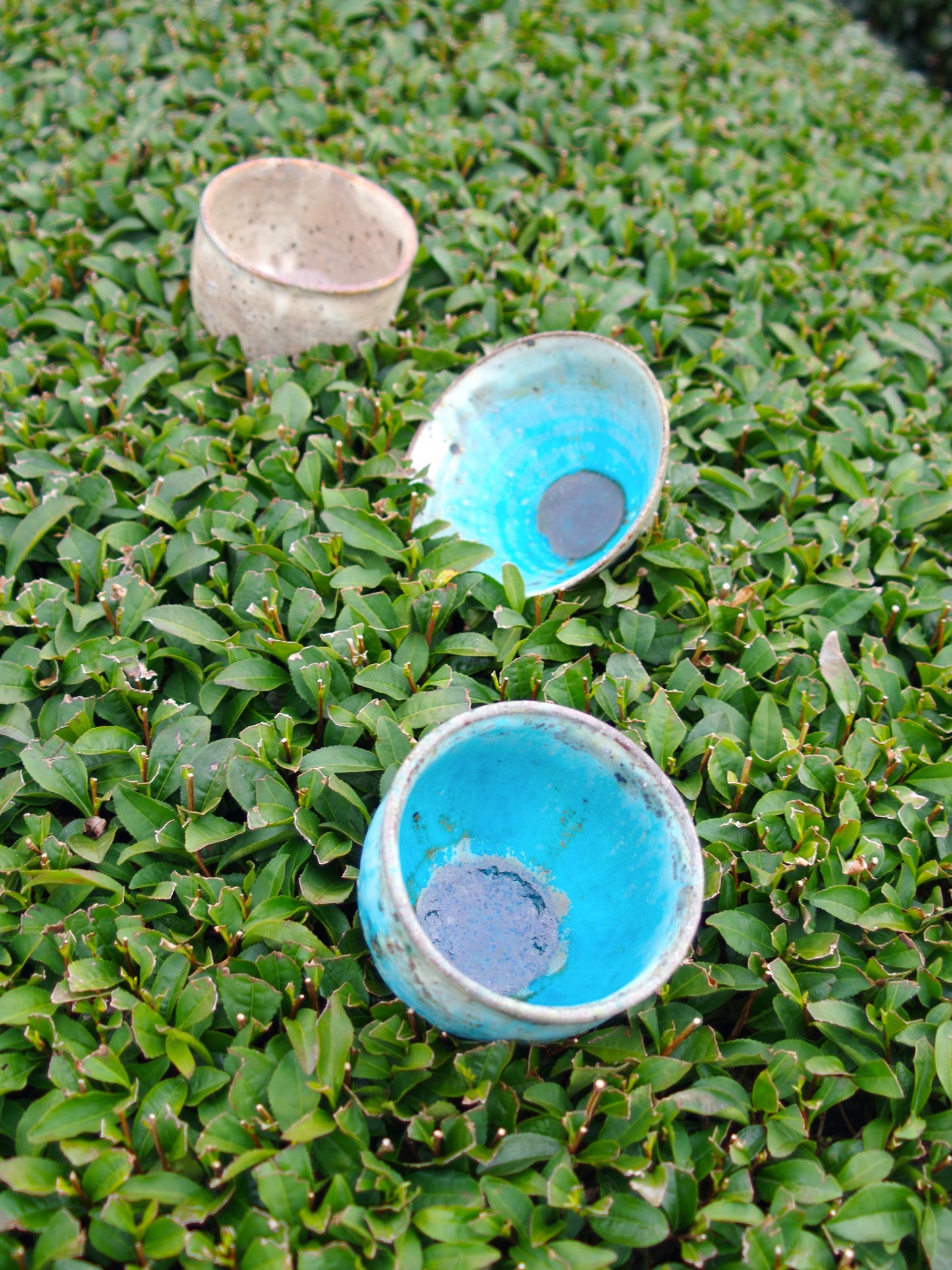 BLUE RICE BOWL